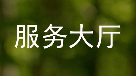 服务大厅