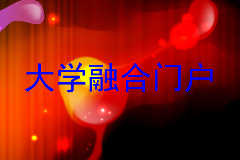 大学融合门户