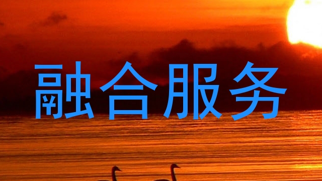 融合服务