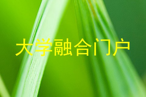 大学融合门户