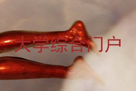 大学综合门户
