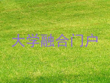 大学融合门户
