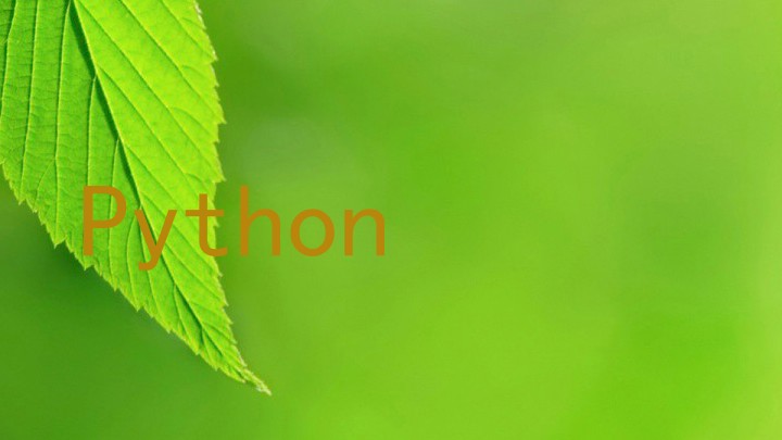 Python