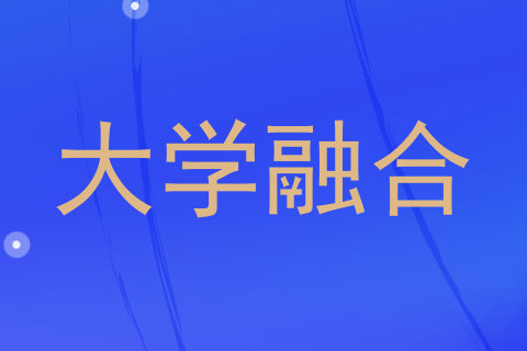 大学融合