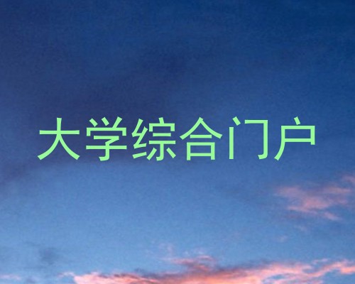 大学综合门户