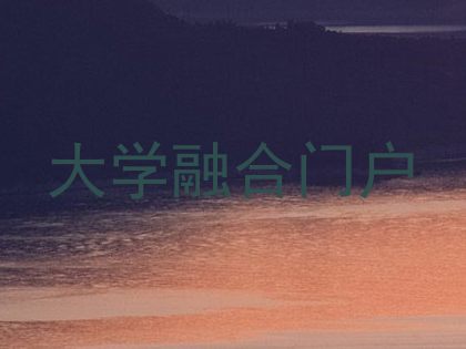 大学融合门户