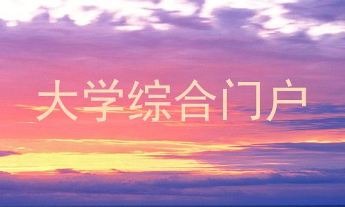 大学综合门户
