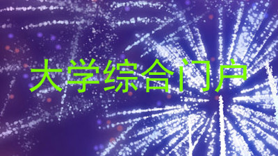 大学综合门户