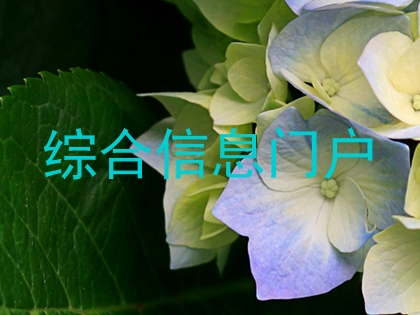 综合信息门户