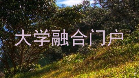 大学融合门户