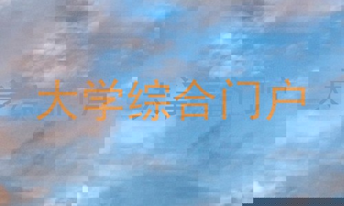 大学综合门户