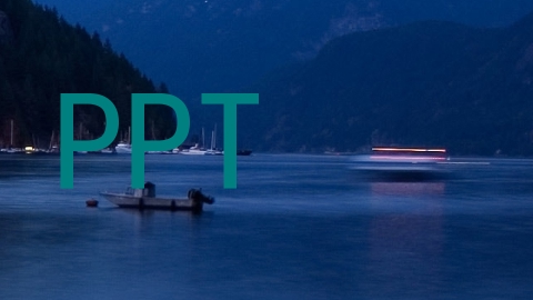 PPT