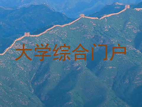 大学综合门户