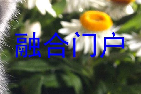 融合门户