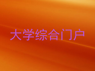 大学综合门户