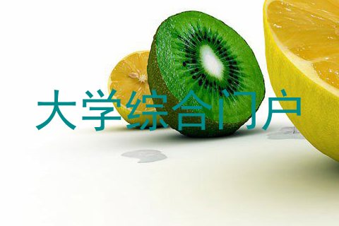 大学综合门户
