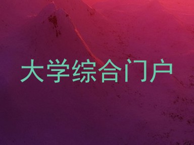大学综合门户