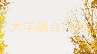 大学融合门户