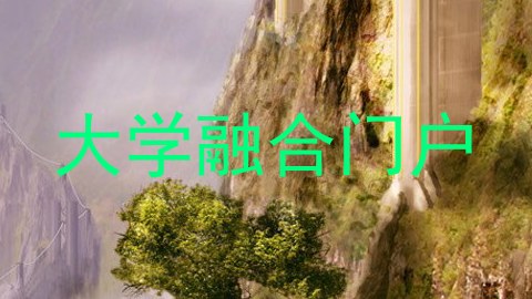 大学融合门户