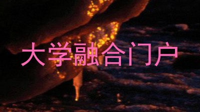 大学融合门户