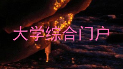 大学综合门户