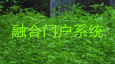 融合门户系统