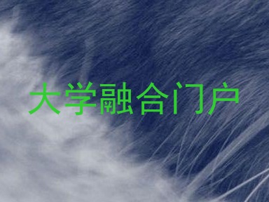 大学融合门户