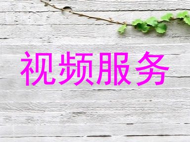 视频服务