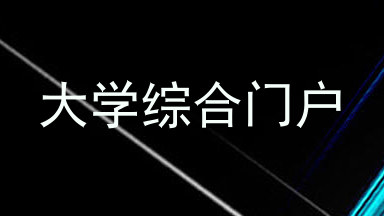 大学综合门户