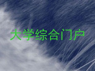 大学综合门户