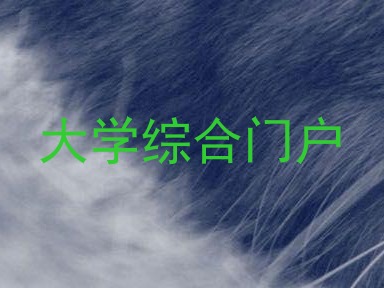 大学综合门户