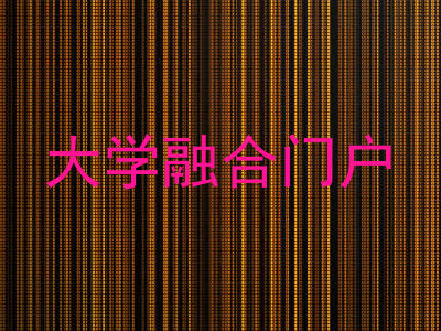 大学融合门户