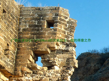 广西大学综合门户与Word的完美结合:我的得意之作