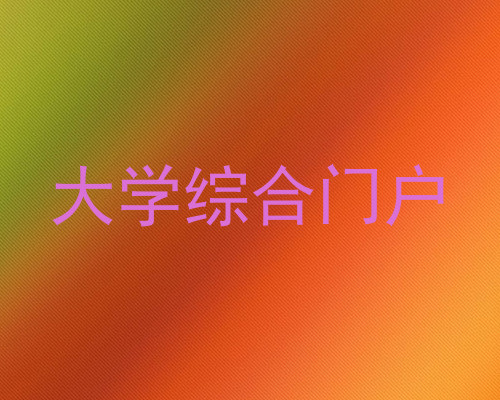 大学综合门户