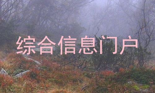 综合信息门户