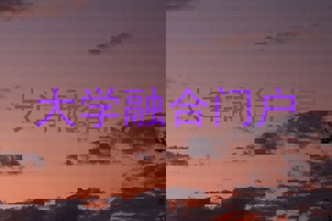 大学融合门户