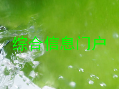 综合信息门户