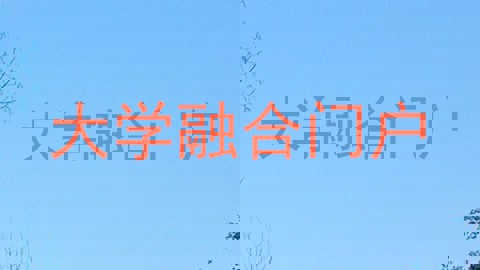 大学融合门户