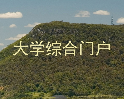 大学综合门户