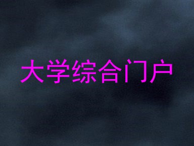 大学综合门户