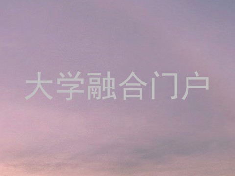 大学融合门户