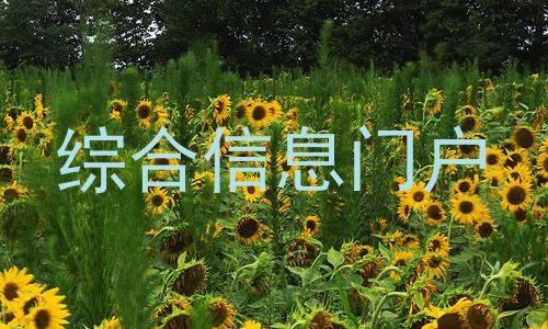 综合信息门户