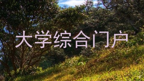 大学综合门户