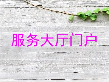 服务大厅门户