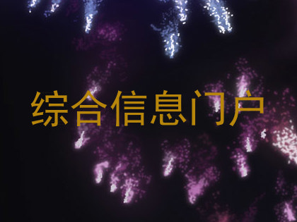 综合信息门户