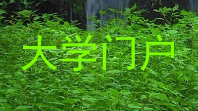 大学门户