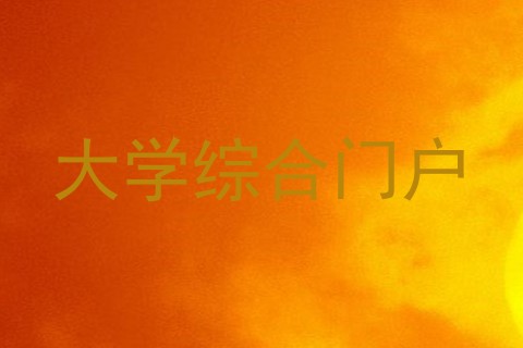 大学综合门户