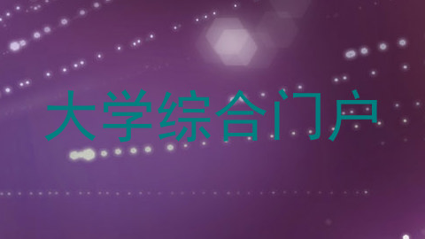 大学综合门户