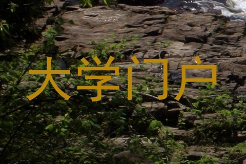 大学门户