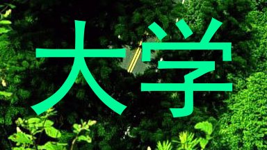 大学